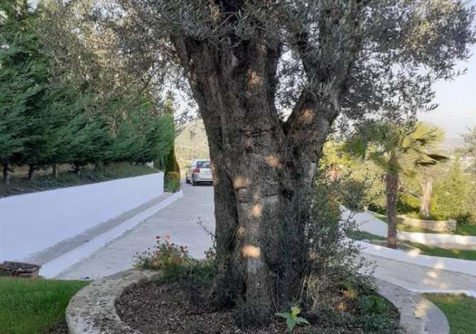 Shitet shtepi + truall me cmim okazion ne Peze Helmes , ne koder 