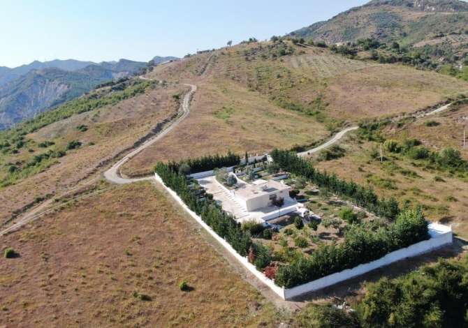 Truall ose Toke ne Tirane - 200,000 Euro