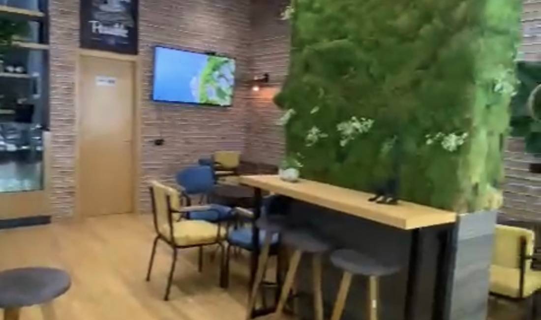 Foto 1