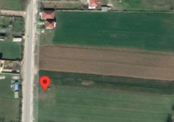 Truall ose Toke ne Tirane - 700 Euro