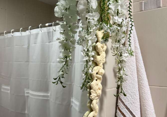 Shtepi me qera Apartament ne Tirane, 2+1, Mobilimi E mobiluar, Pagesa 600  Euro.