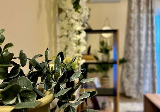 Shtepi me qera Apartament ne Tirane, 2+1, Mobilimi E mobiluar, Pagesa 600  Euro.