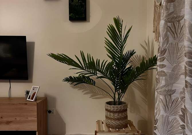 Shtepi me qera Apartament ne Tirane, 2+1, Mobilimi E mobiluar, Pagesa 600  Euro.