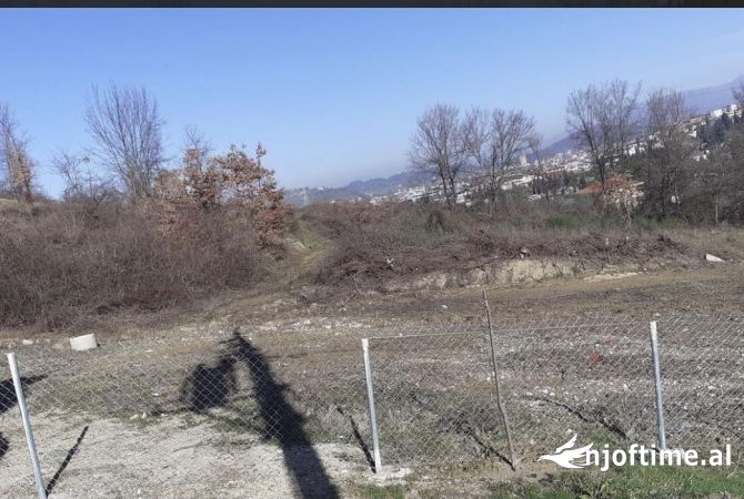 Shitet toke ne dalje te kombinatit 