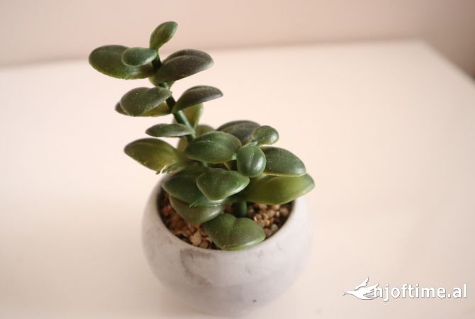 Shtepi ne shitje Apartament ne Tirane, 2+1, Mobilimi E mobiluar, Pagesa 130,000  Euro.