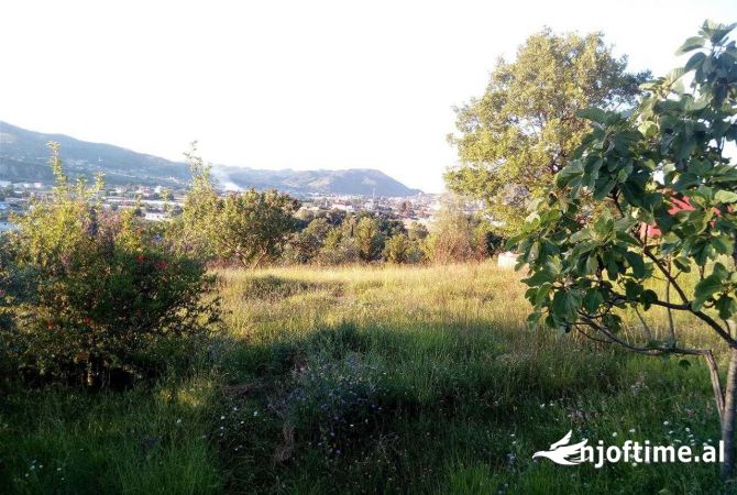 Terreno in vendita  a Tirana - 153,000 Euro