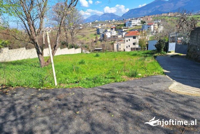 Truall ose Toke  ne Tirane - 9,500,000 Leke