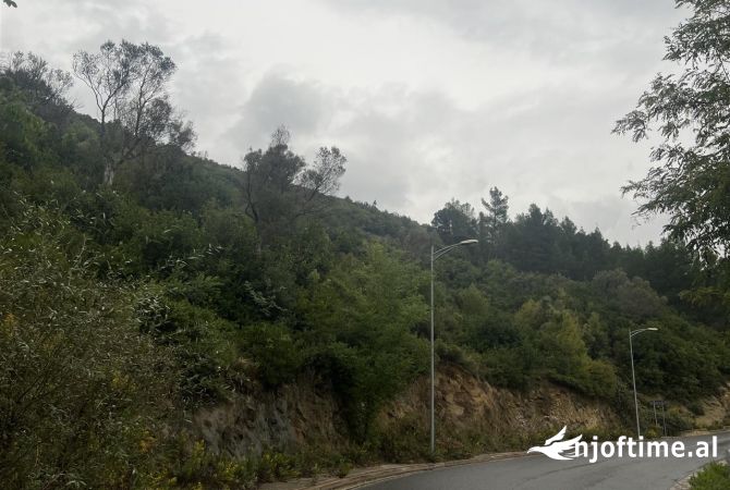 Terreno in vendita  a Tirana - 200,000 Euro