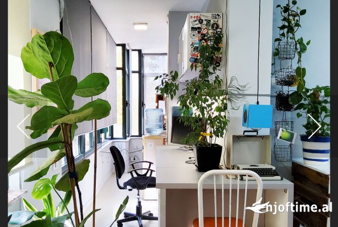 Ambient biznesi me qera 3+1 ne Tirane - 550 Euro