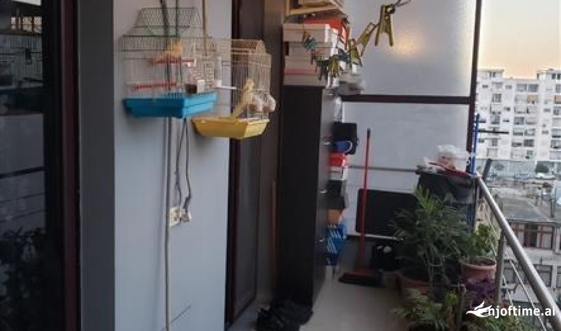 Foto 7