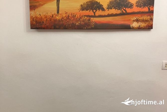 Shtepi me qera Apartament ne Tirane, 1+1, Mobilimi E mobiluar, Pagesa 40,000  Leke.