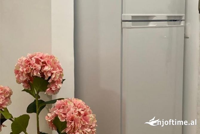 Shtepi me qera Apartament ne Tirane, 1+1, Mobilimi E mobiluar, Pagesa 500  Euro.