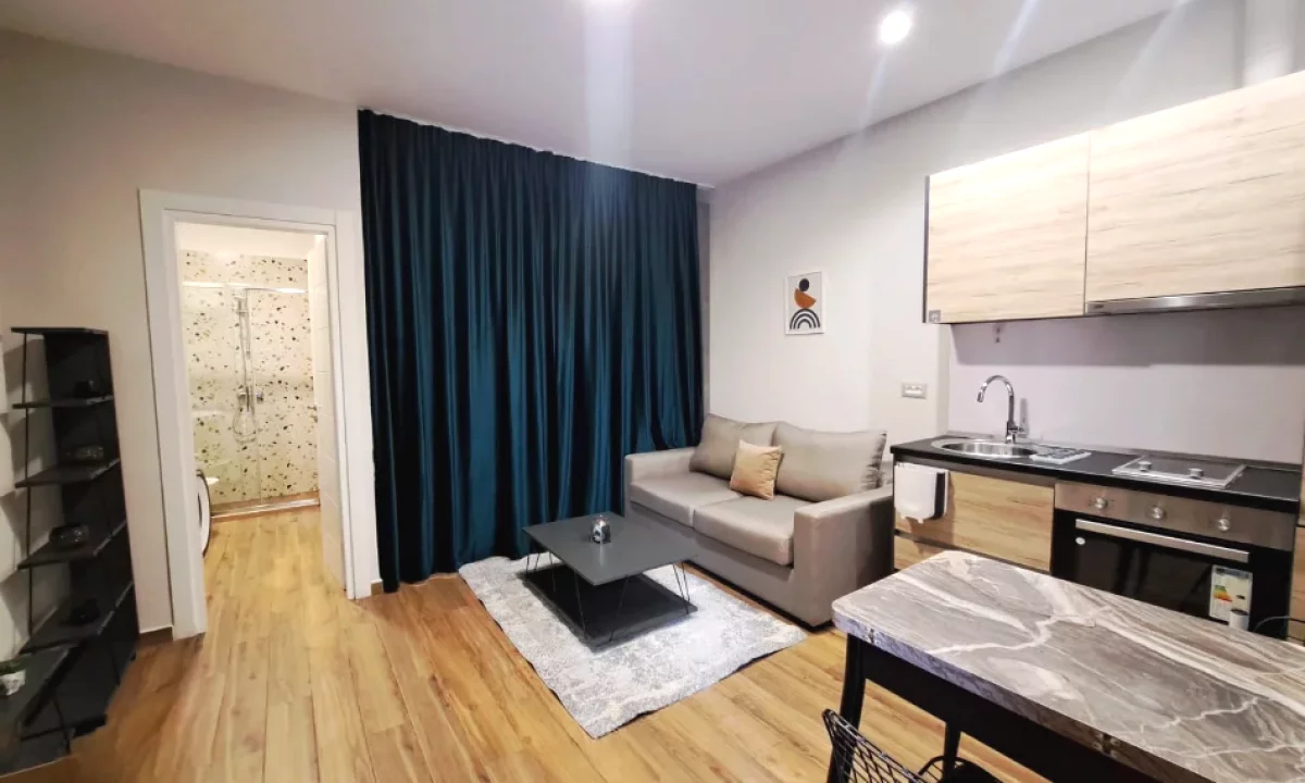 Apartment for rent in Tirana Garsoniere, Furnished
