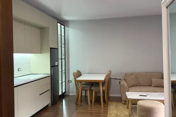 Apartment for rent in Tirana 1+1, Furnished