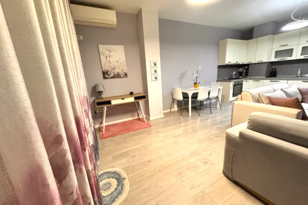 Apartment for rent in Tirana 1+1, Furnished