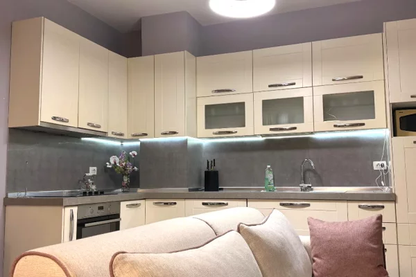 Apartment for rent in Tirana 1+1, Furnished