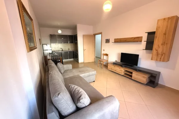 Apartment for rent in Tirana 1+1, Furnished