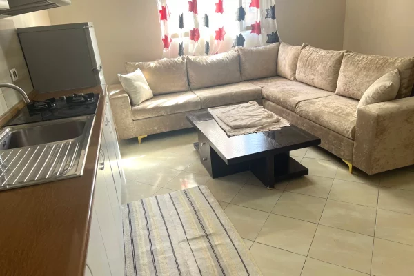 House for Rent 1+1 in Tirana - 350 Euro