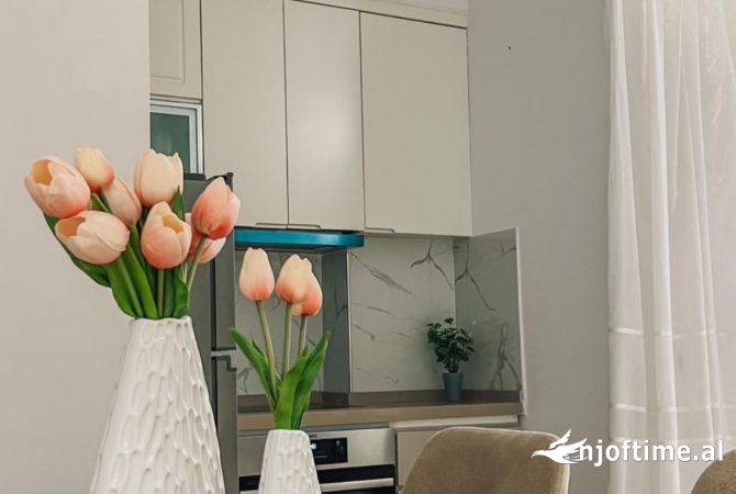 Shtepi me qera 1+1 ne Tirane - 550 Euro