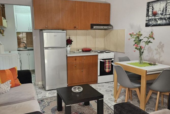 Shtepi me qera 1+1 ne Tirane - 360 Euro