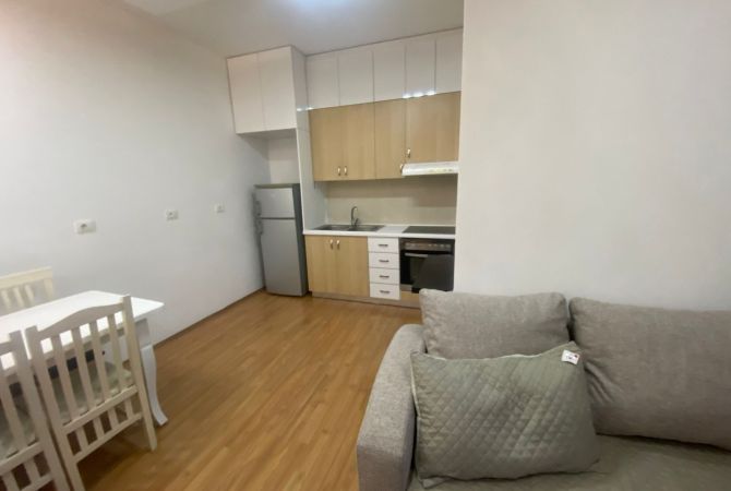 Shtepi me qera Apartament ne Tirane, 1+1, Mobilimi E mobiluar, Pagesa 550  Euro.