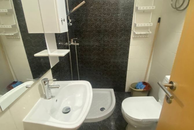 Shtepi me qera Apartament ne Tirane, 1+1, Mobilimi E mobiluar, Pagesa 550  Euro.