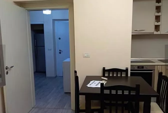 House for Rent 1+1 in Tirana - 450 Euro
