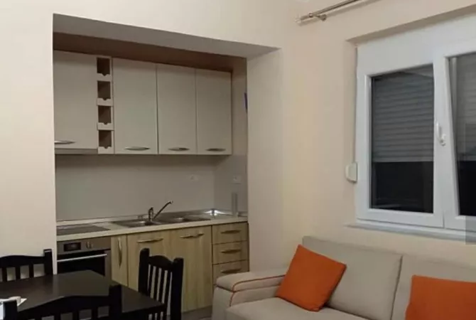 Apartment for rent in Tirana 1+1, Furnished