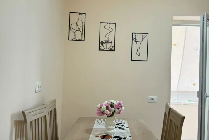 Apartment for rent in Tirana 1+1, Furnished