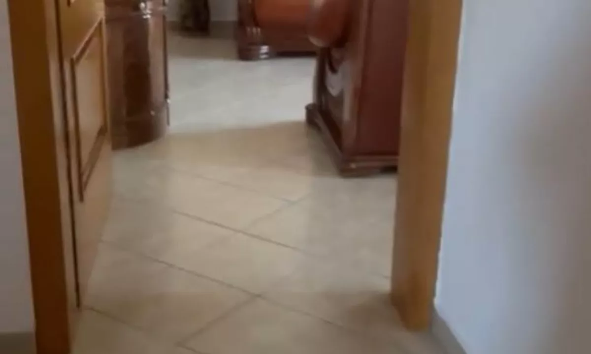 Foto 4