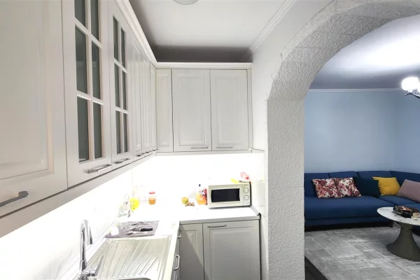 Shtepi me qera 1+1 ne Tirane - 50,000 Leke