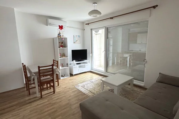 Apartment for rent in Tirana 1+1, Furnished