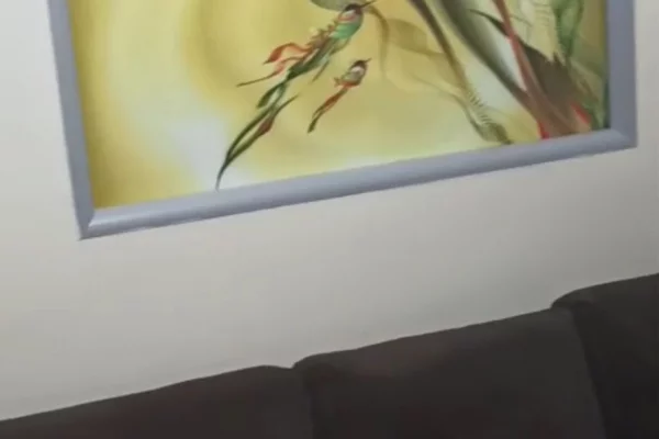 Shtepi me qera 2+1 ne Tirane - 600 Euro