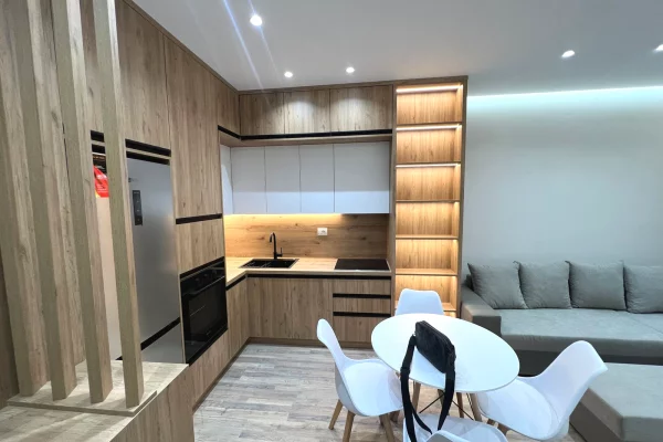 Apartment for rent in Tirana 1+1, Furnished