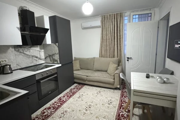 Shtepi me qera Apartament ne Tirane, 1+1, Mobilimi E mobiluar, Pagesa 43,000  Leke.