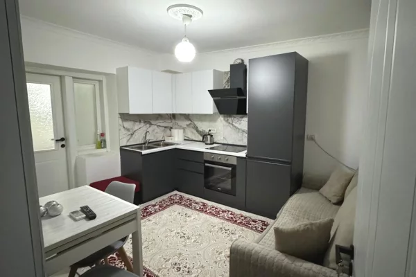 Shtepi me qera Apartament ne Tirane, 1+1, Mobilimi E mobiluar, Pagesa 43,000  Leke.