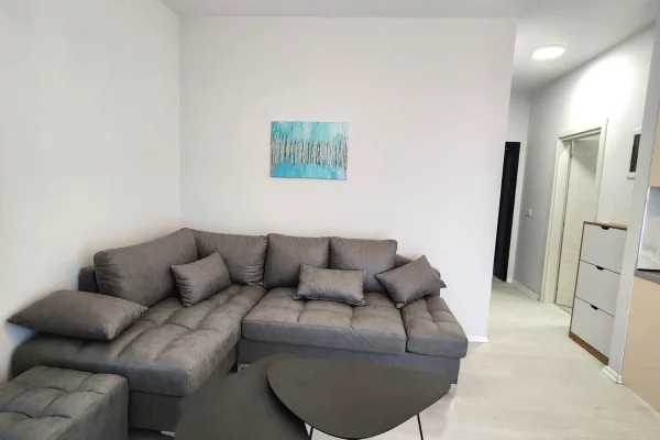 Shtepi me qera Apartament ne Tirane, 1+1, Mobilimi E mobiluar, Pagesa 580  Euro.