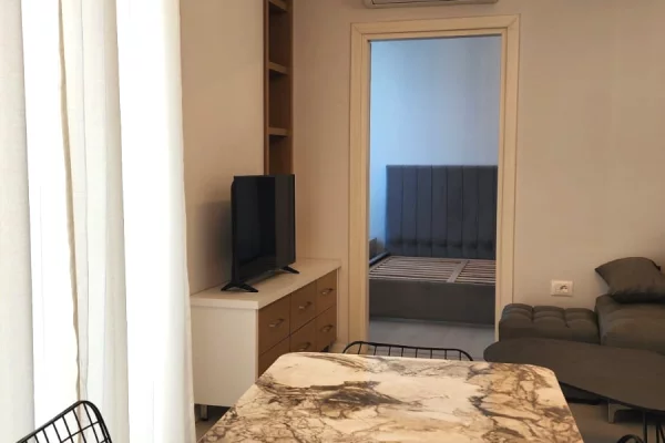 Shtepi me qera Apartament ne Tirane, 1+1, Mobilimi E mobiluar, Pagesa 580  Euro.