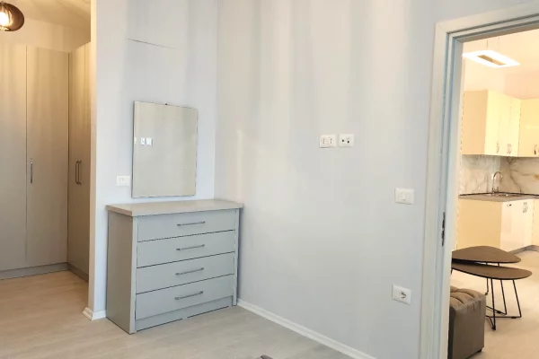 Shtepi me qera Apartament ne Tirane, 1+1, Mobilimi E mobiluar, Pagesa 580  Euro.