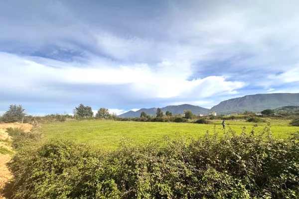 Truall ose Toke ne Tirane - 510,000 Euro