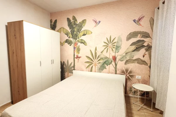 Shtepi me qera Apartament ne Tirane, 1+1, Mobilimi E mobiluar, Pagesa 420  Euro.