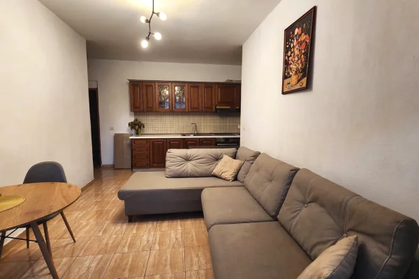 Shtepi me qera Apartament ne Tirane, 1+1, Mobilimi E mobiluar, Pagesa 420  Euro.