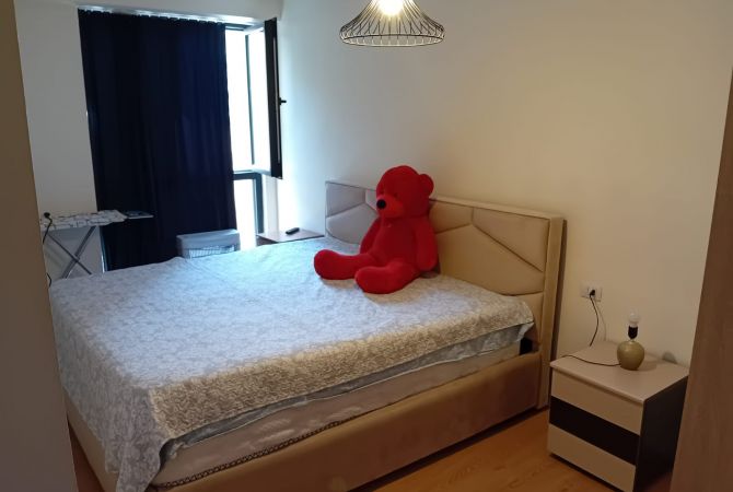 Shtepi me qera Apartament ne Tirane, 1+1, Mobilimi Pjeserisht e mobiluar, Pagesa 550  Euro.