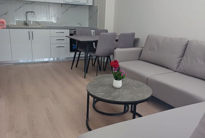 Shtepi me qera 2+1 ne Tirane - 550 Euro