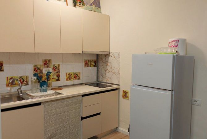 Shtepi me qera Apartament ne Tirane, 1+1, Mobilimi E mobiluar, Pagesa 600  Euro.