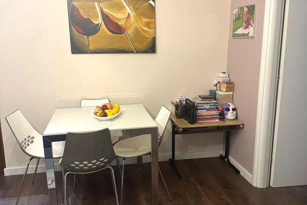 Shtepi me qera 1+1 ne Tirane - 600 Euro