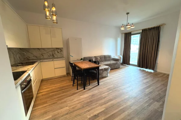 Casa in affitto 1+1 a Tirana - 58,000 Leke