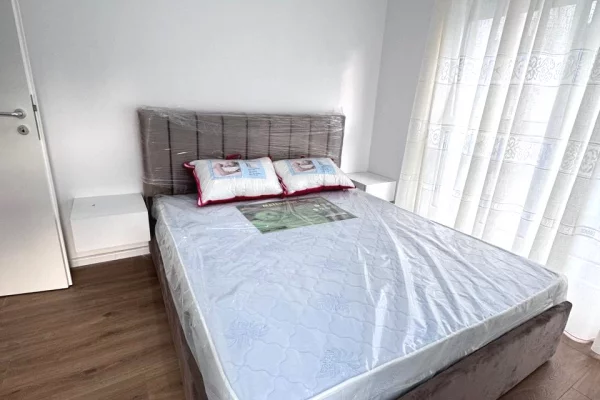 Shtepi me qera Apartament ne Tirane, 1+1, Mobilimi E mobiluar, Pagesa 38,000  Leke.