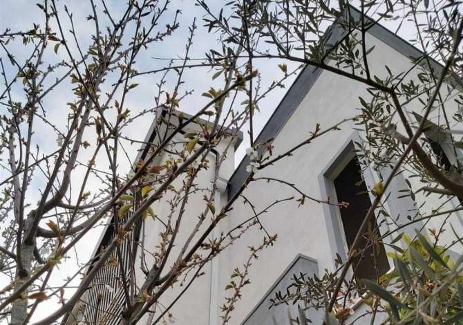 Business Property for Rent 3+1 in Tirana - 4,000 Euro