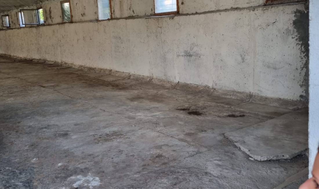 Foto 4